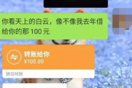 宜州要账公司更多成功案例详情